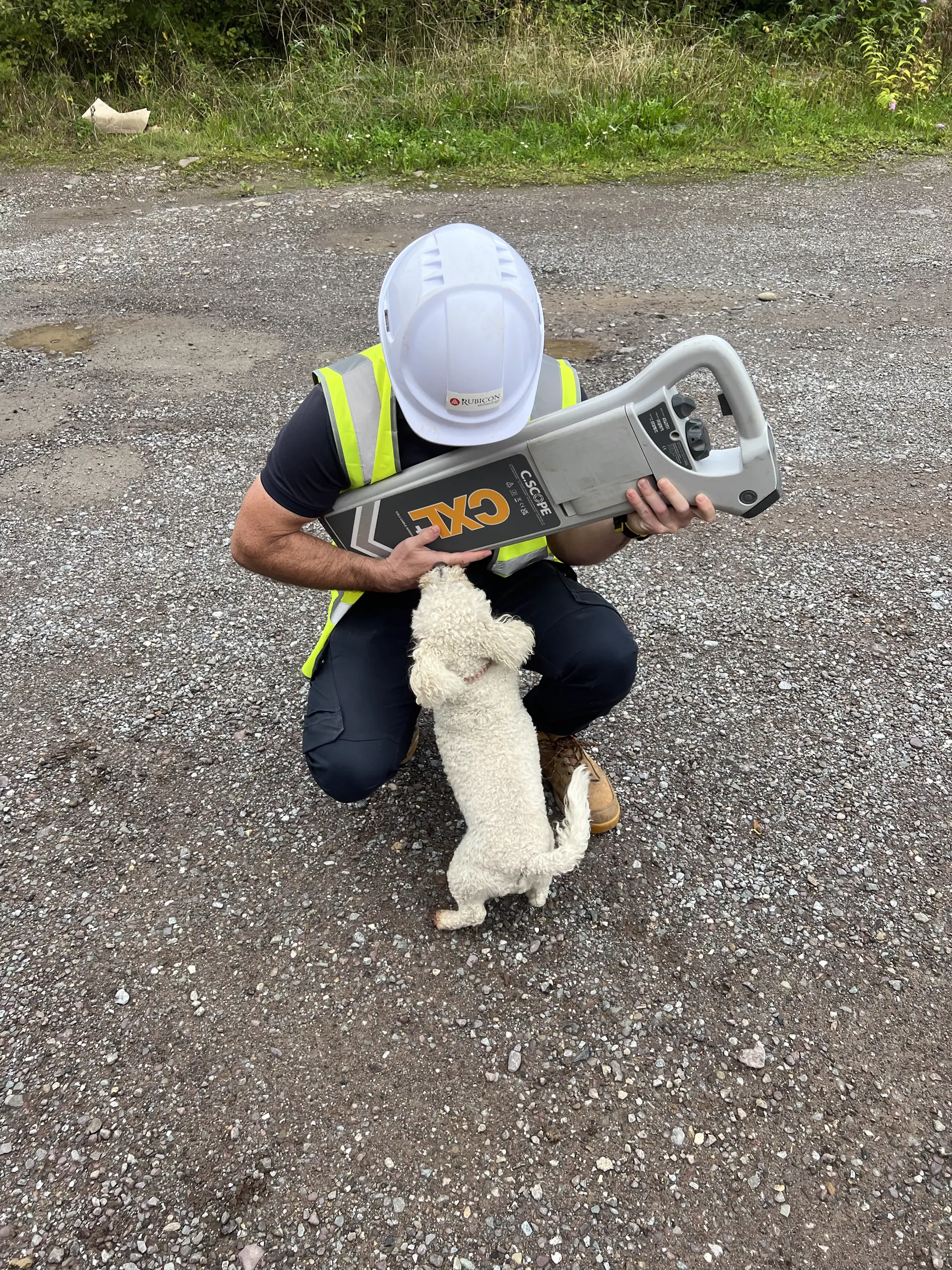 Archaeologist holding cable avoidance equipment while the site dog supervises