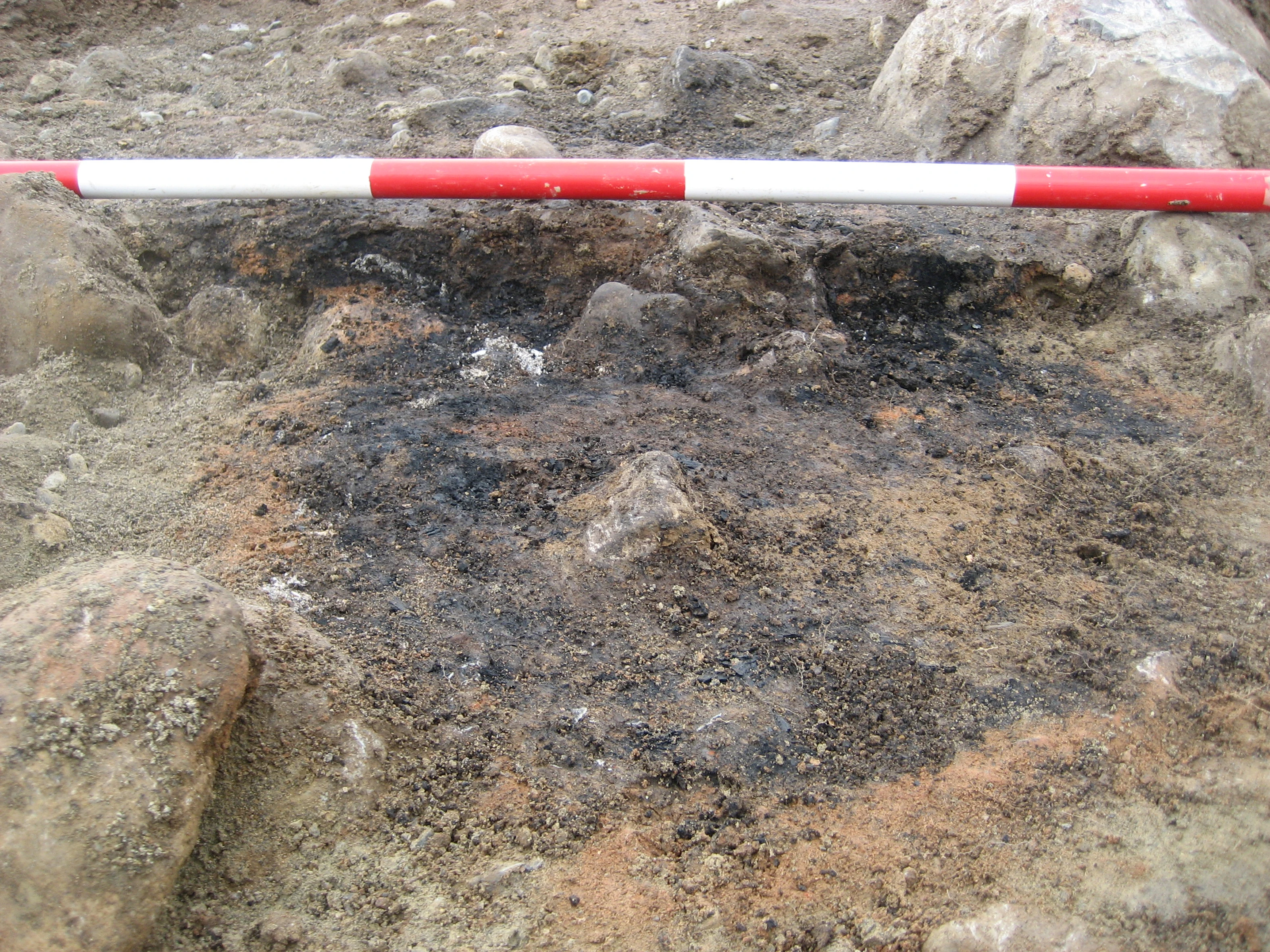 The Cremation Burial at Mucklagh, Co. Offaly