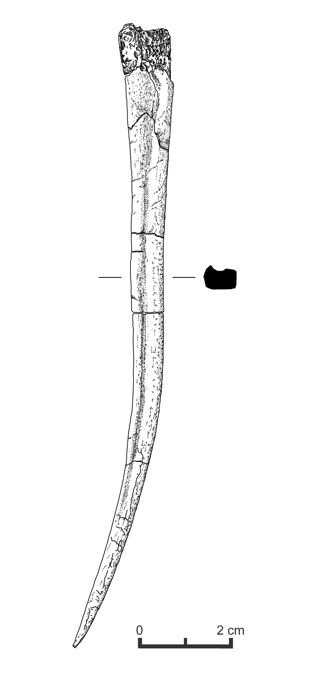 The Antler Awl (drawn by Sara Nylund, Rubicon Heritage Services Ltd)
