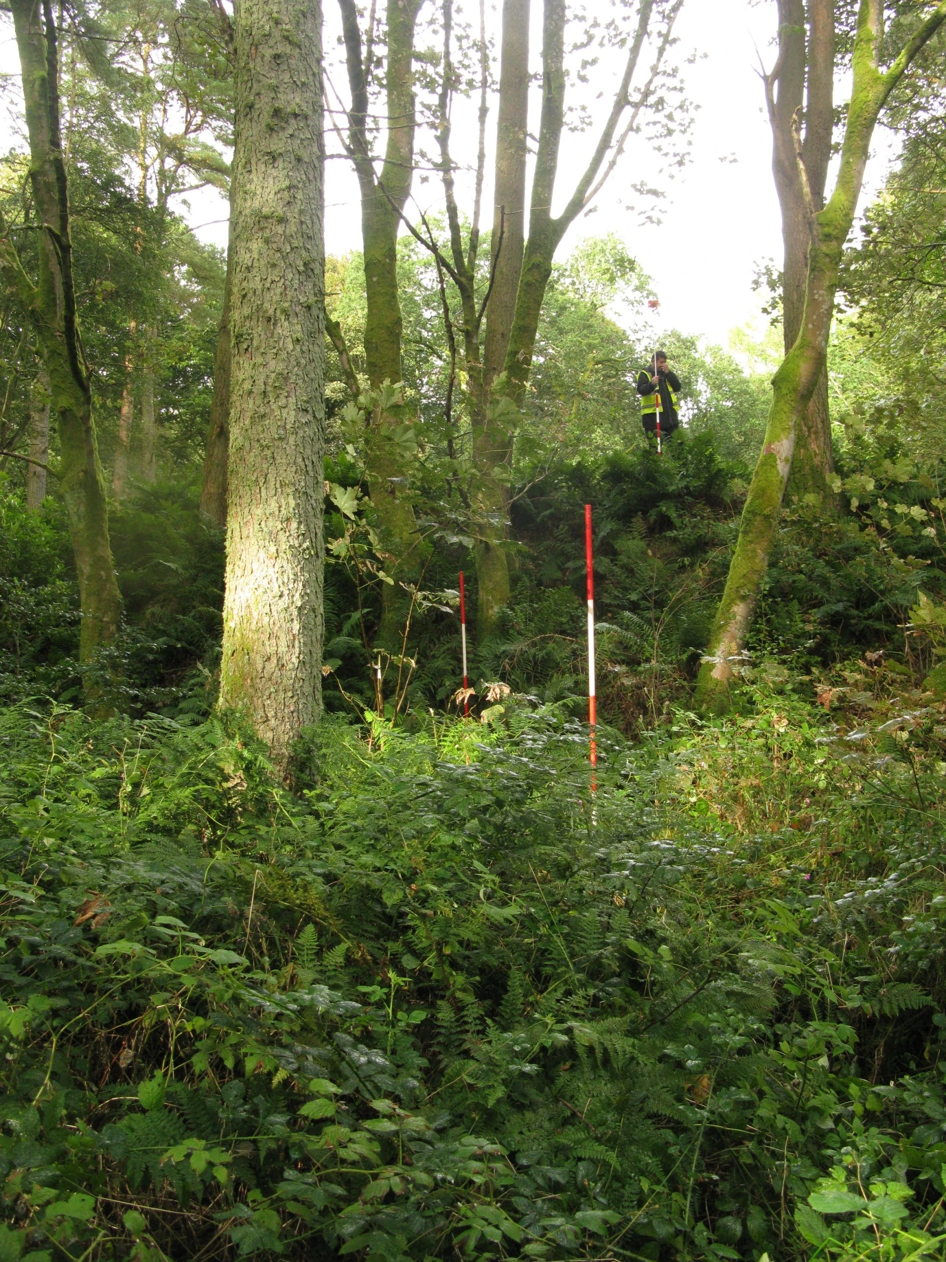 The challenging survey terrain at Moat Park motte