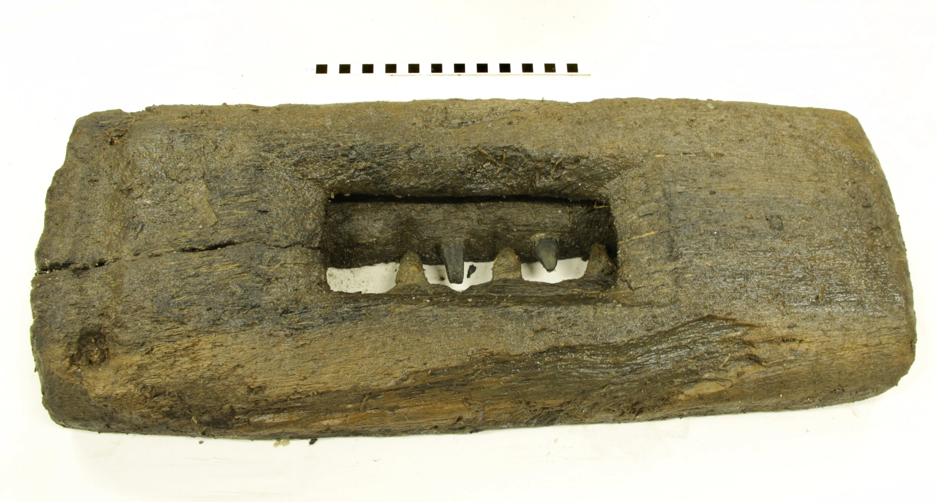 Upper side of Assembled Tread Trap