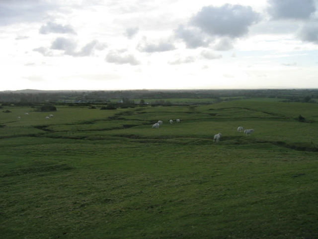 The Trench Network at The Curragh Camp