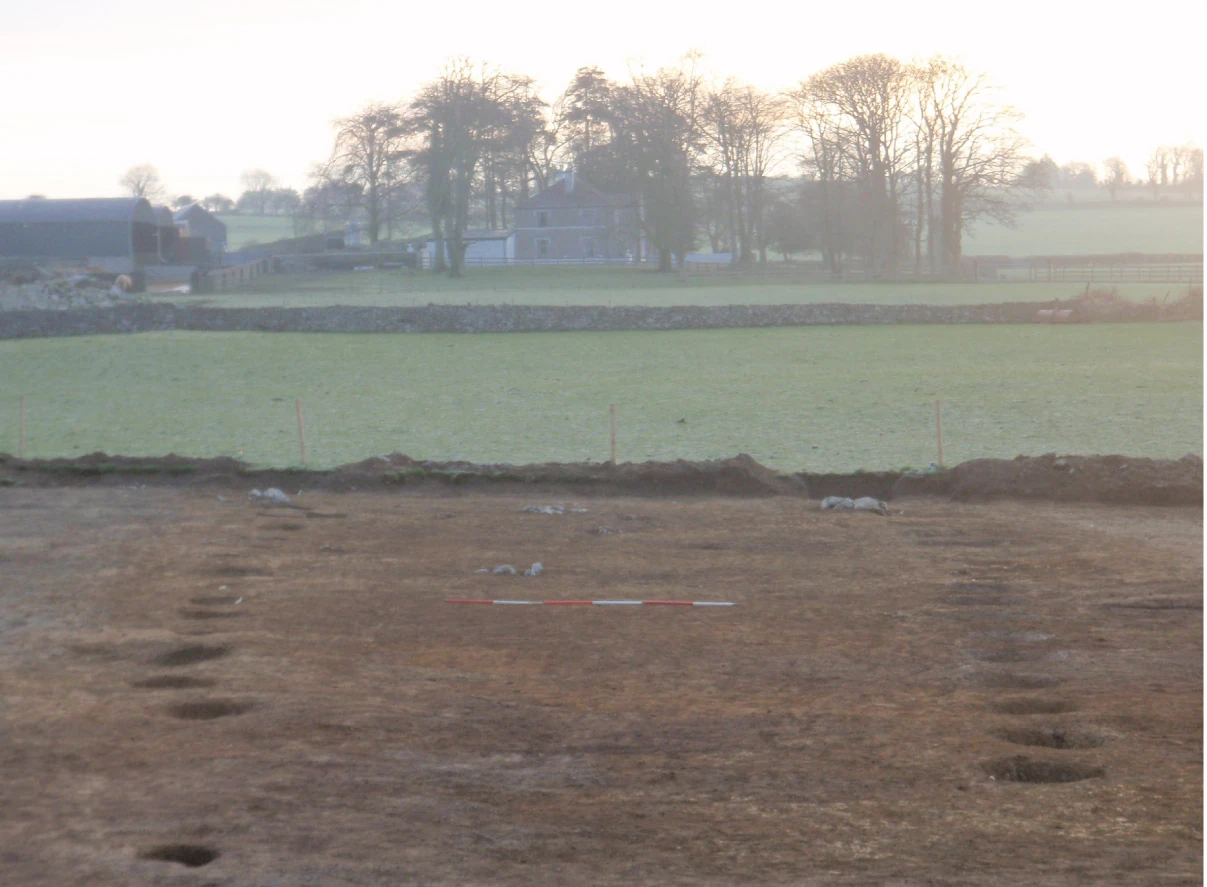 Oblique view of the Ballingowan post-pit alignment