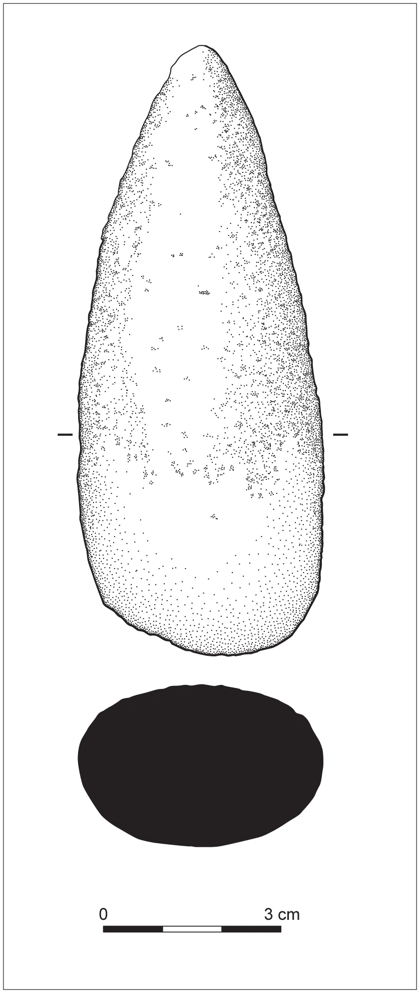 Illustration of this prehistoric stone axe highlights the difference between the rough and polished texture on the object's surface