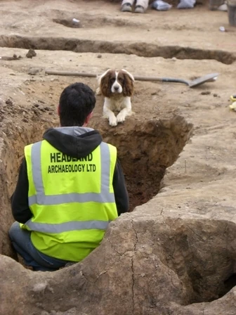 'I knew I buried that bone around here somewhere...'