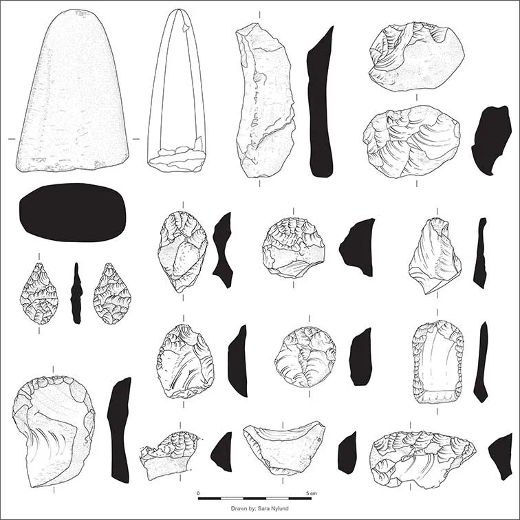 N25 Image