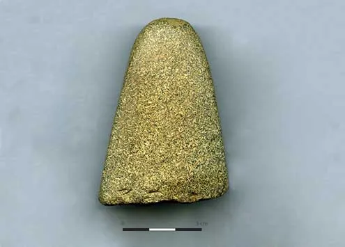N25 Image