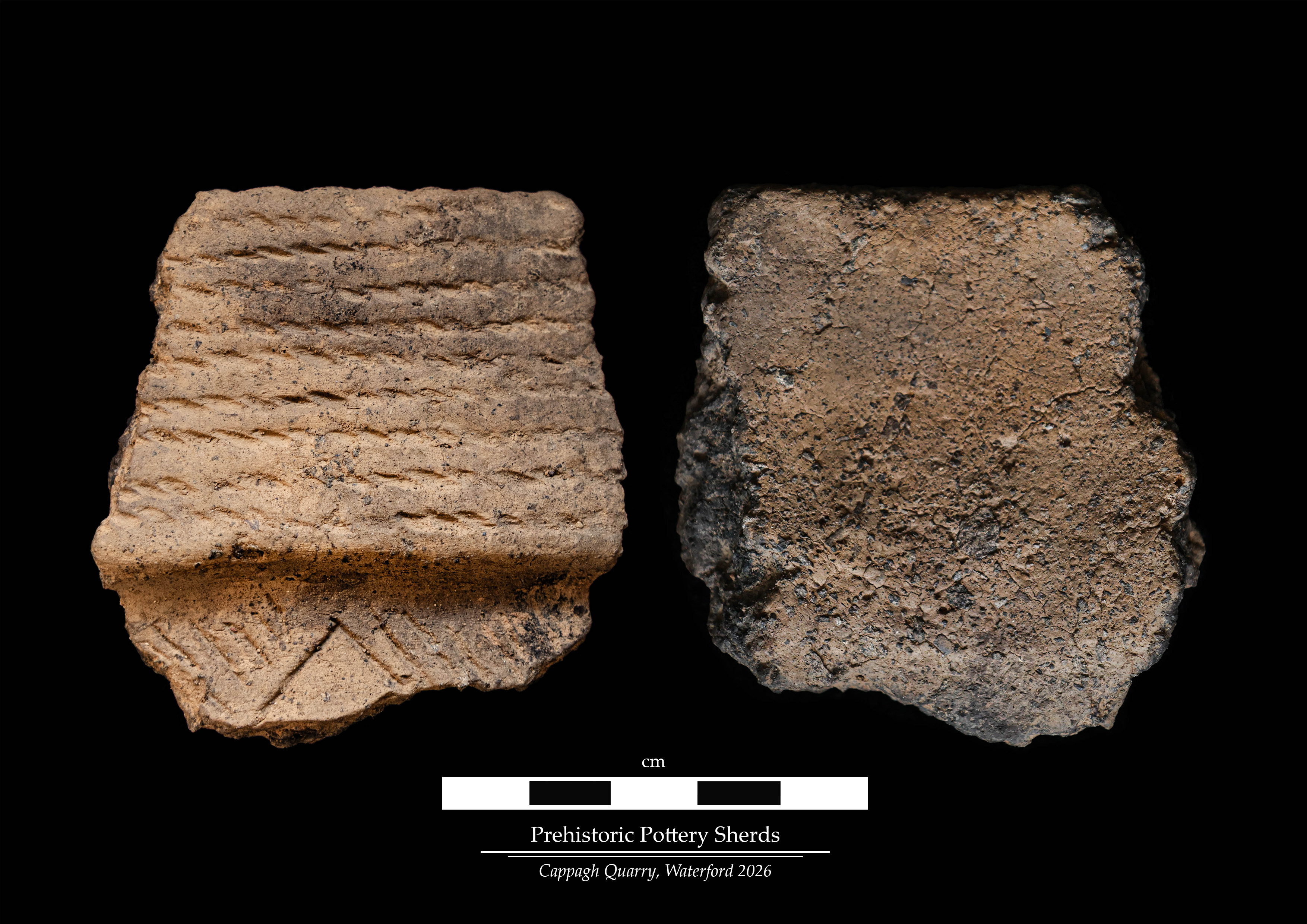 Detailed studio photograph of prehistoric pottery from Cappagh