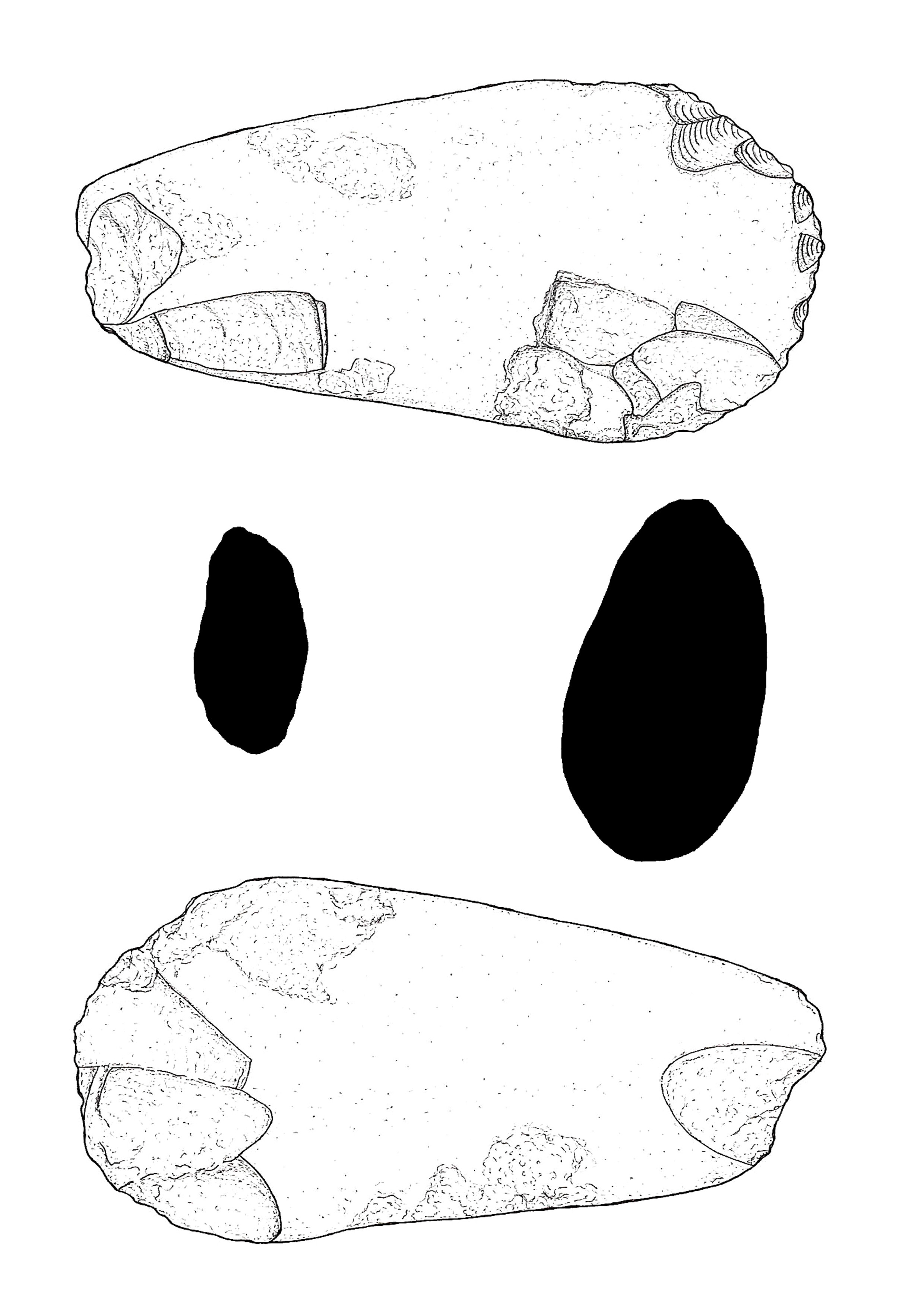 Archaeological illustration of the polished stone axe